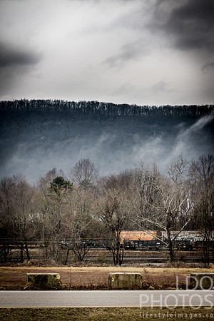 20150310-IMG_8362
