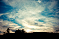 Landscapes III