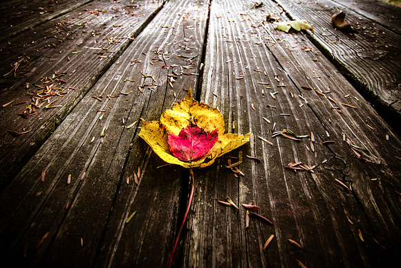 20141027-IMG_0108
