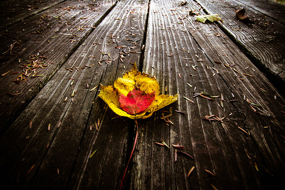 20141027-IMG_0108