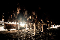 20141030-IMG_9653