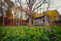 20141029-IMG_9499