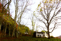 20141029-IMG_9517