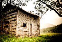 Cabin In The Woods