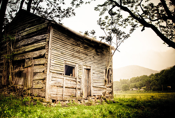Cabin In The Woods