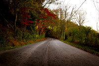 20141029-IMG_9544