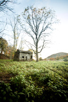 20141029-IMG_9502