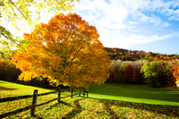 20141029-IMG_9412