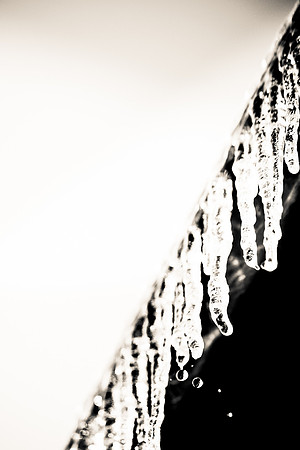 20150217-IMG_1516