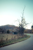 20141029-IMG_9540