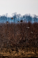 20150320-IMG_9175