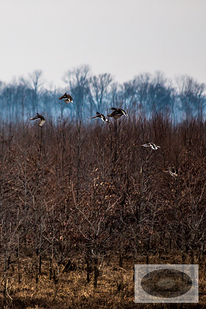 20150320-IMG_9175