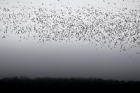 20150209-IMG_1402
