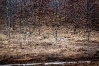 20150320-IMG_9109
