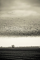 20150209-IMG_1373
