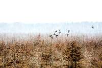 20150320-IMG_9159
