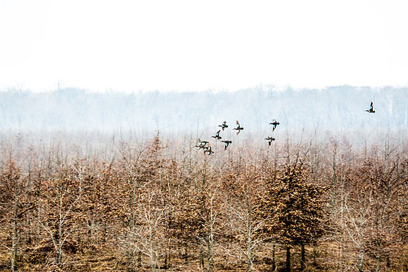 20150320-IMG_9159