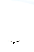 20140726-IMG_9773
