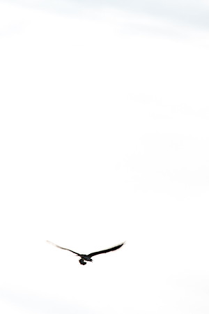 20140726-IMG_9773