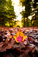 20141027-IMG_0090