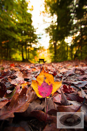 20141027-IMG_0090