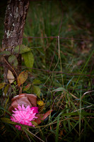 20141024-IMG_8959