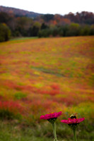 20141028-IMG_9306