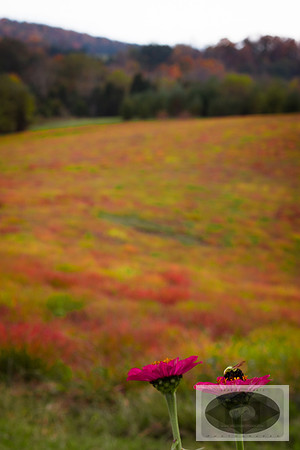 20141028-IMG_9306