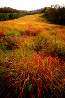 20141028-IMG_9255