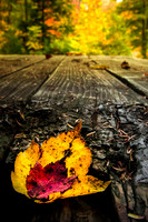 20141027-IMG_0106