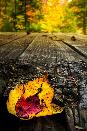 20141027-IMG_0106