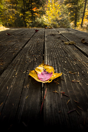 20141027-IMG_0111