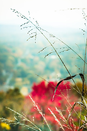 20141027-IMG_0230