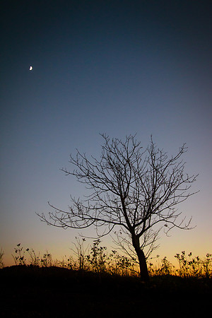 20141030-IMG_9828