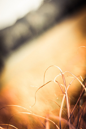20141028-IMG_9265