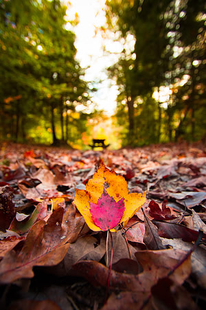 20141027-IMG_0090