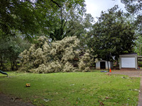 Cottage Damage