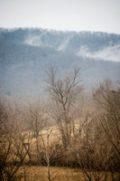 20150310-IMG_8388