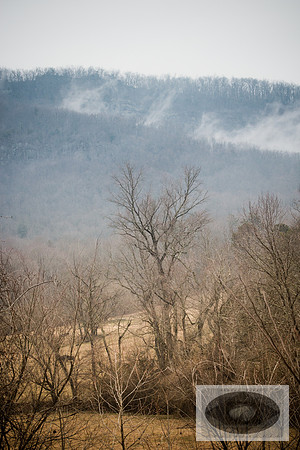 20150310-IMG_8388