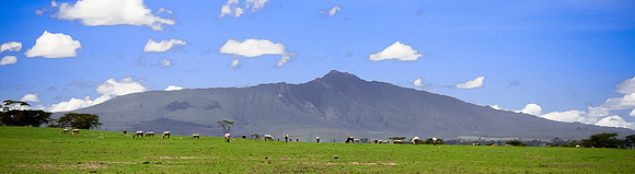 IMG_1261