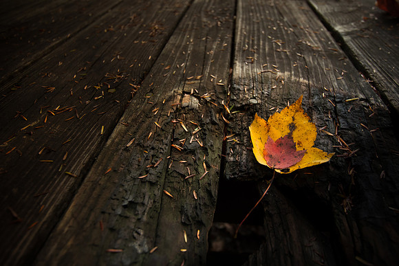 20141027-IMG_0098
