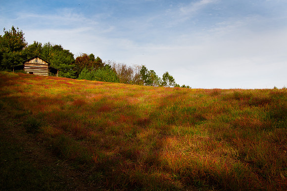 20141028-IMG_9291