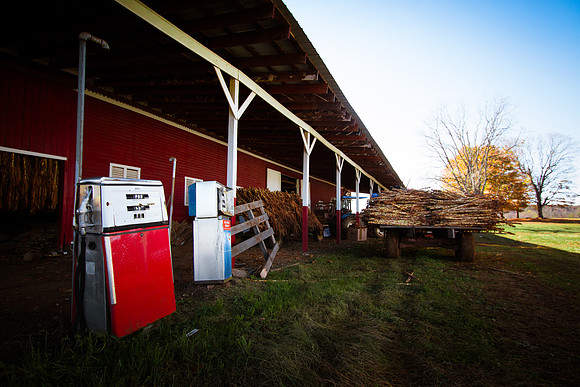 20141030-IMG_9634