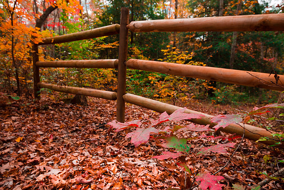 20141027-IMG_9977
