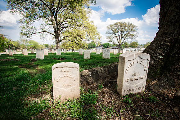 20150408-IMG_0554