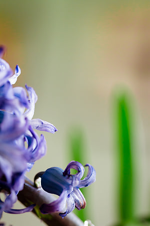 20150328-IMG_9999