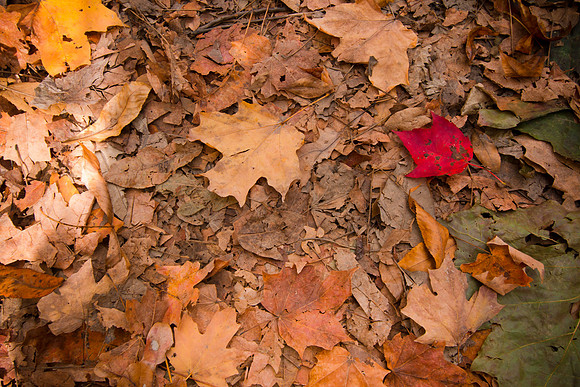 20141027-IMG_9966