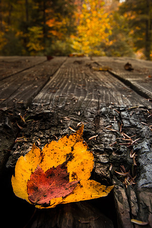 20141027-IMG_0106