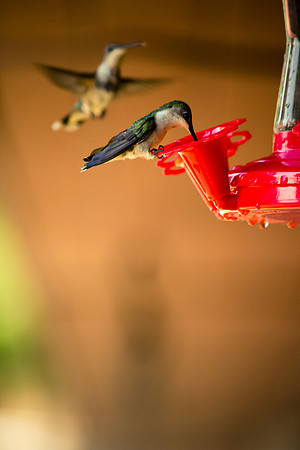 20140726-IMG_9668