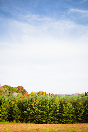 20141028-IMG_9281